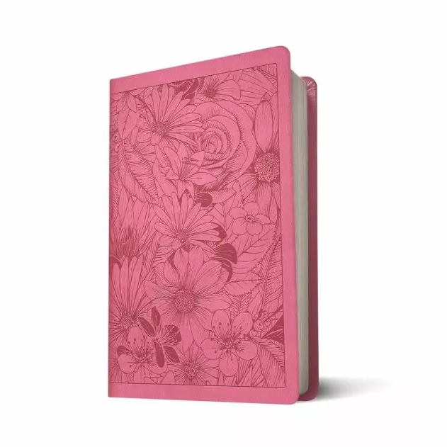 NLT Large Print Premium Value Thinline Bible (50% OFF)